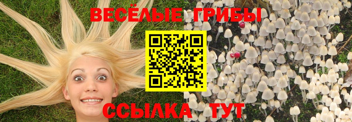 Нижневартовск  Псилоцибиновые грибы прущие грибы  Галлюциногенные грибы Psilocybine cubensis  Вход с VPN 
