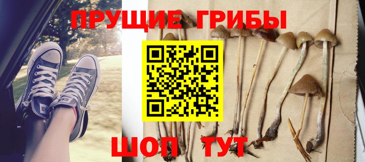 Галлюциногенные грибы прущие грибы Нижневартовск